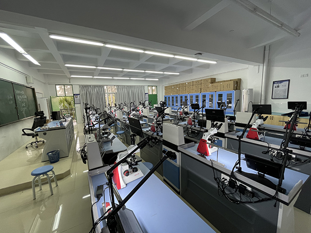 �п���(sh��)�(y��n)�������uϵ�y(t��ng)